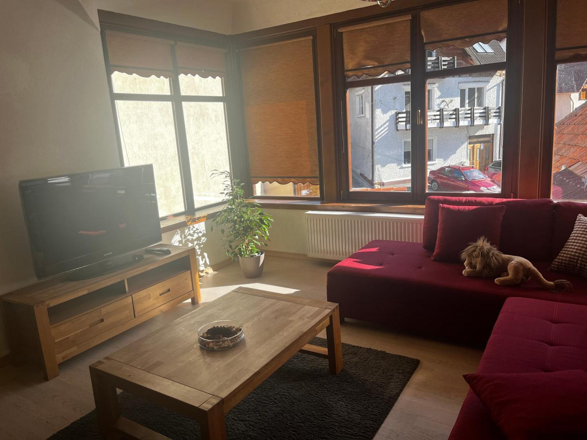 Cozy Apartment Brasov Ngoại thất bức ảnh